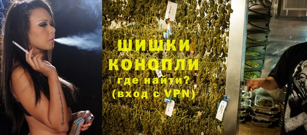 apvp Алзамай